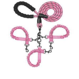 3-in-1 Dog Leash