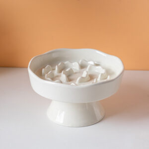 Elevated Slow Feeder Bowl