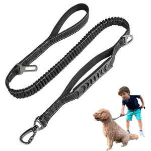 Bungee Dog Leash