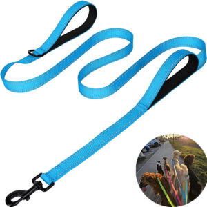 Reflective Dog Leash