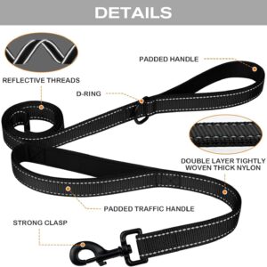 Reflective Dog Leash