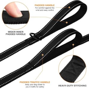 Reflective Dog Leash
