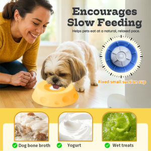 Silicone Lick Bowl