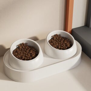 ceramic double cat bowl