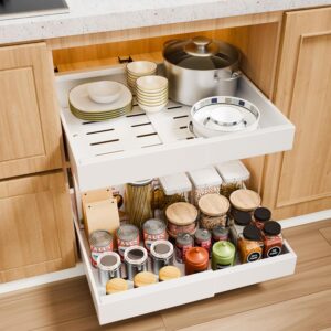 CARLA HOME Pack Pull Out Cabinet Organizer Expandable for Cabinets with Adjustable Slide Out Shelves product image