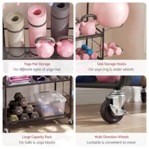 Everfit Yoga Mat &Amp; Ball Storage Cart 145Cm – Nice N Cheap Variety Store Everfit Yoga Mat Ball Storage Cart Multifunction Equipment Organizer Rack 145Cm Product Image